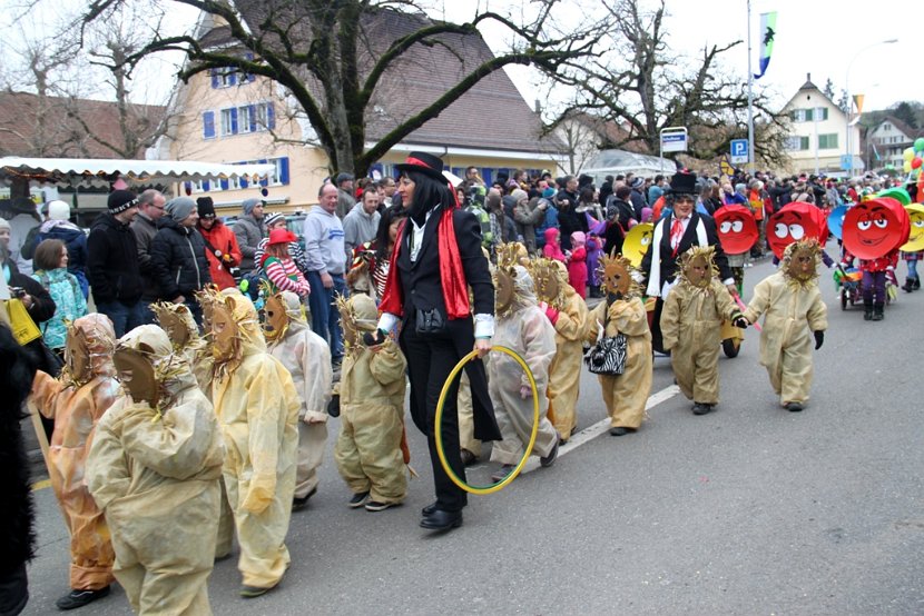 Sarmenstorf Fasnachtsumzug 16.02.2014 (6)